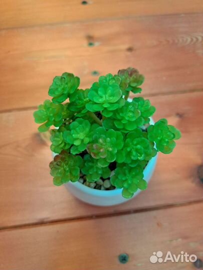 Искусственный цветок в горшке