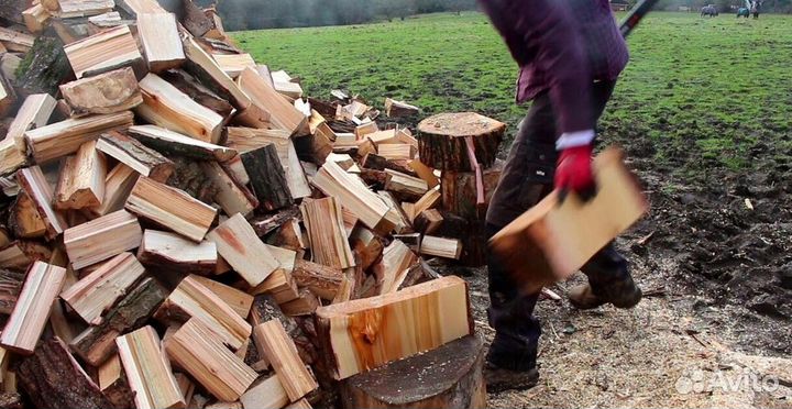 Дрова из леса