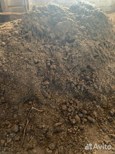 Навоз конский