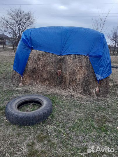 Сено луговое