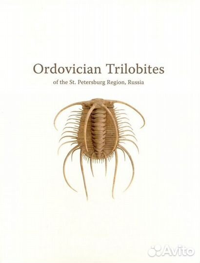 Ordovician Trilobites of the St. Petersburg region