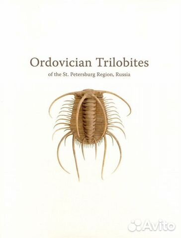 Ordovician Trilobites of the St. Petersburg region