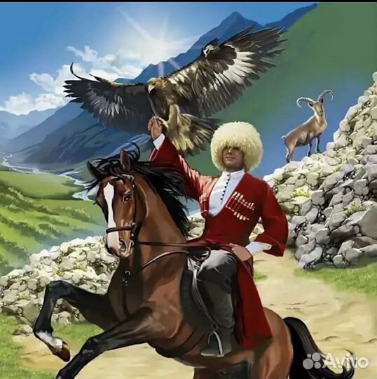 Конные прогулки