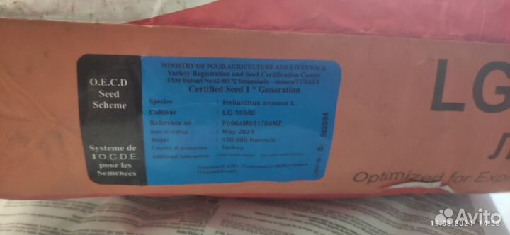 Семена подсолнечник Сингента