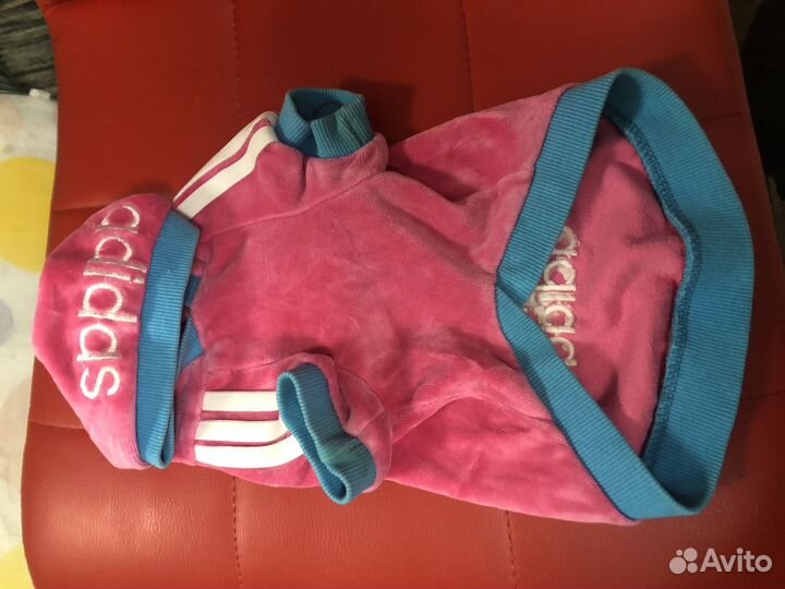 Одежда для собак мелких пород