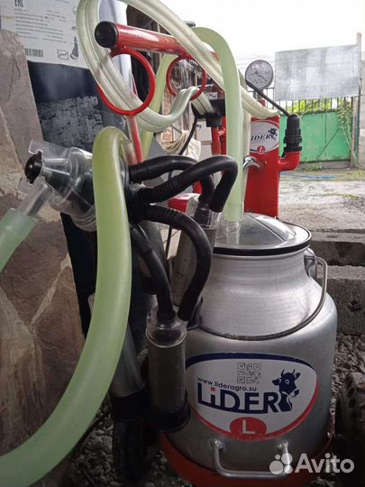 Доильный апарат