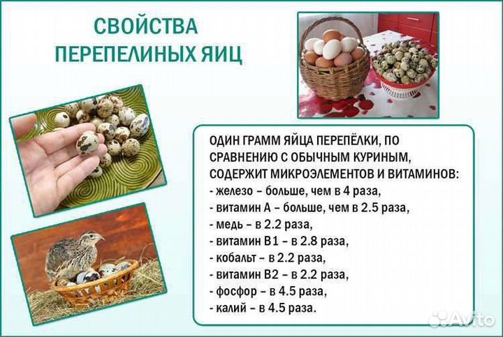 Яйцо перепелиное, яйцо куриное Ухейилюй, майонез