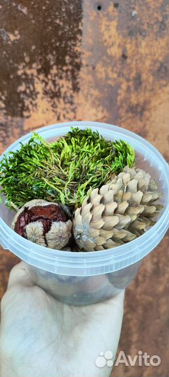 Набор природных материалов