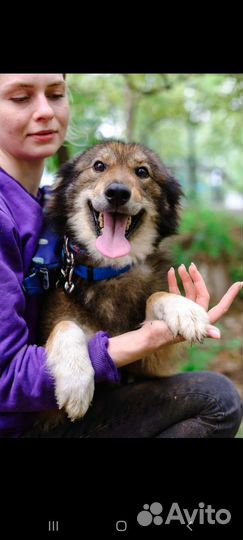 Мокко из приюта