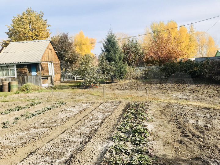 Участок 5 сот. (СНТ, ДНП)