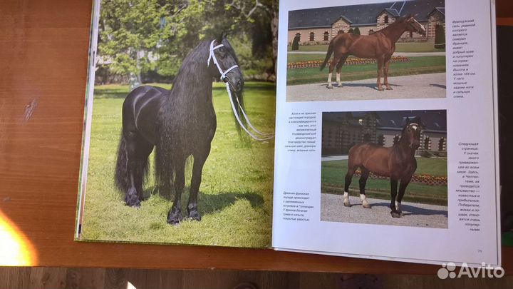 Книги о лошадях,альбом