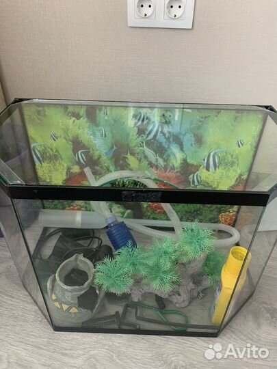 Аквариум