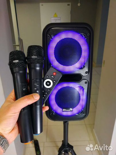 Портативная колонка Eltronic 12v, 2 микрофона