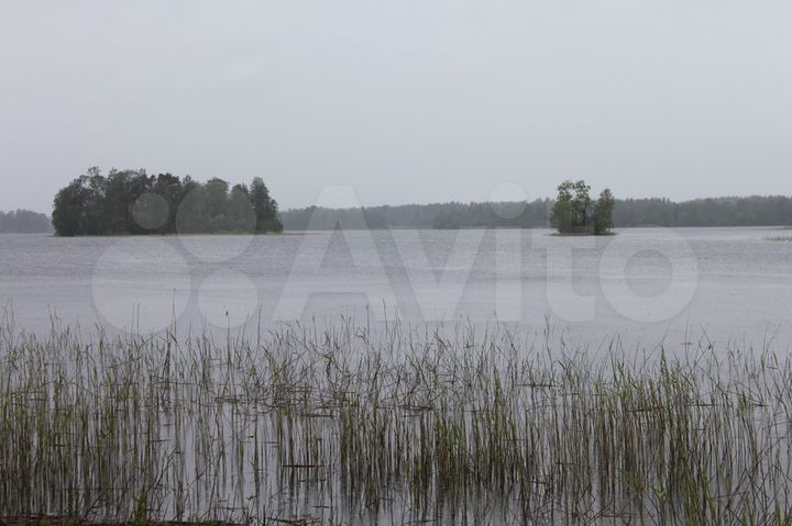 Участок 20 сот. (СНТ, ДНП)