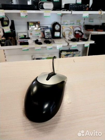 Мышь Genius NetScroll 100 V2