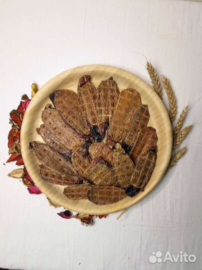 Лакомства для собак