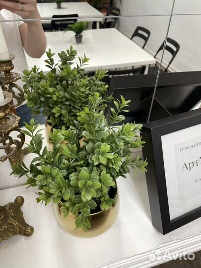 Искусственные цветы в горшках hoff