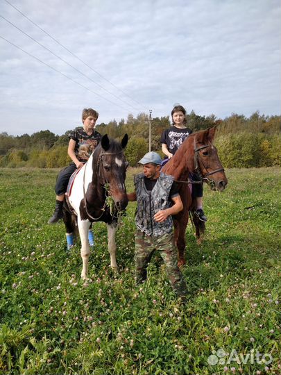 Постой для лошадей