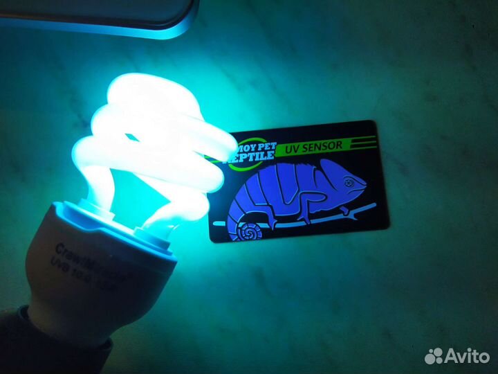 Ультрафиолетовая лампа для рептилий