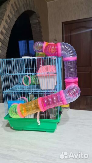 Клетка для джунгарского хомяка