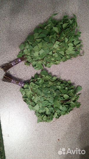 Веники для бани 2023