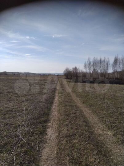 Участок 92 сот. (СНТ, ДНП)