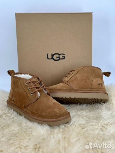 Угги мужские ботинки Ugg Mens Neumel