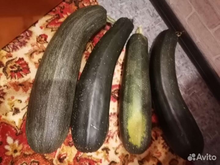 Кабачки, тыква, шиповник, грибочки