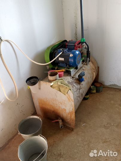 Продам стадо коров