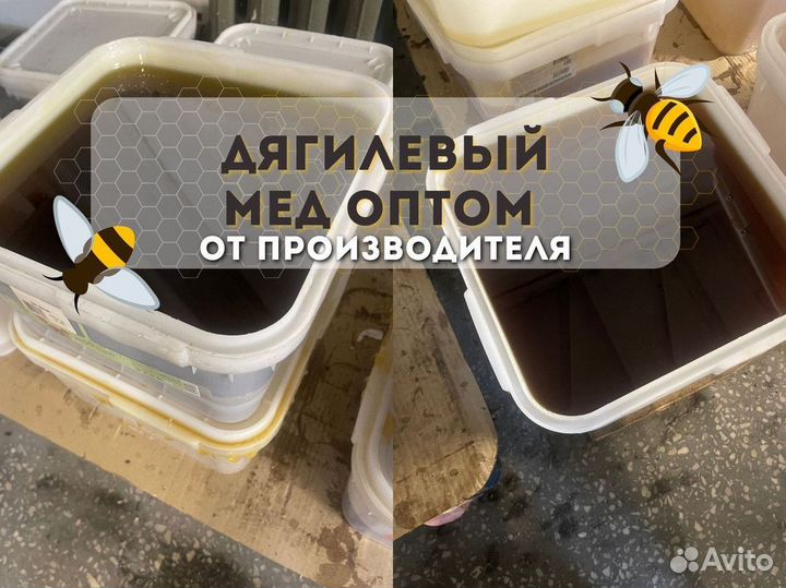 Оптом мед Дягилевый