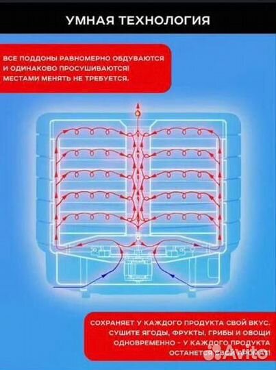 Дегидратор Электросушилка Вольтера 1000 Вт