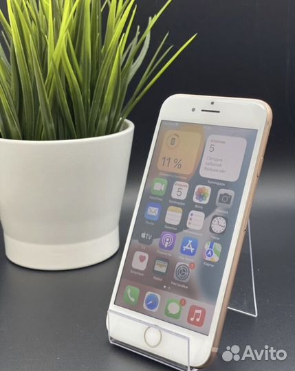 iPhone 8, 128 ГБ