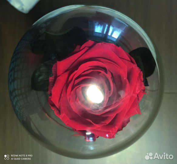 Неувядающая роза в колбе