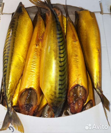 Рыба копченая. Холодное горячее копчение