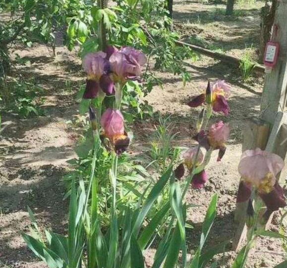 Дом 84,5 м² на участке 5,8 сот.