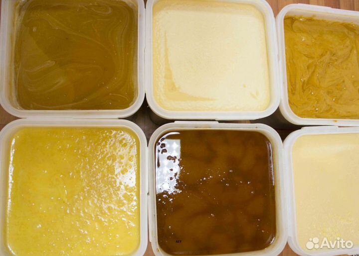 2024 Мед натуральный из Алтая оптом