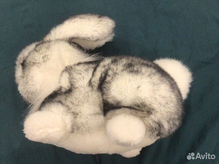 Кролик