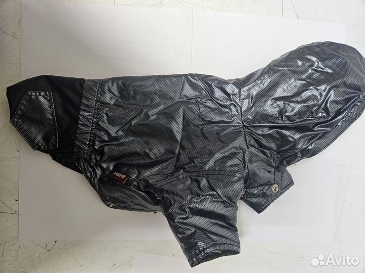 Одежда для маленьких собак