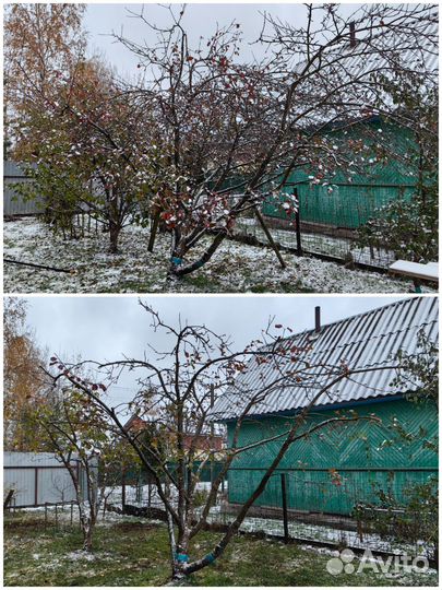 Услуги садовника