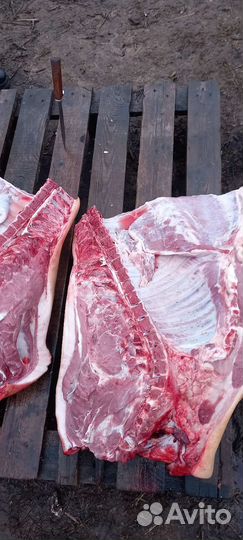 Мясо свинины домашнее