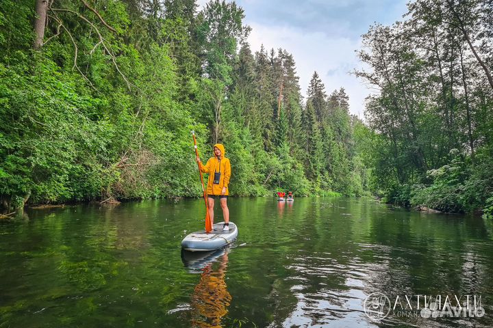 Тур на SUP-бордах по реке Оредеж