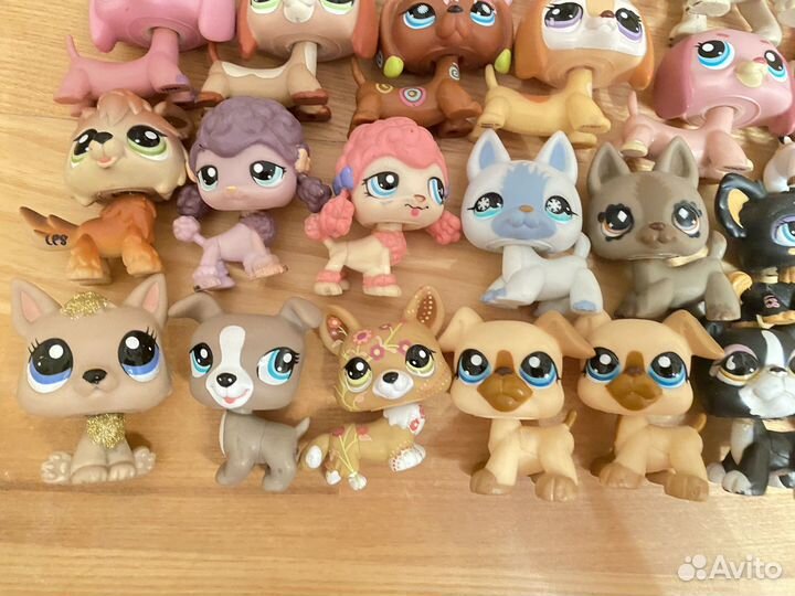 Lps лпс корги такса дог littlest pet shop