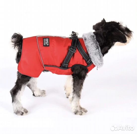 Зимний комбинезон для средних собак