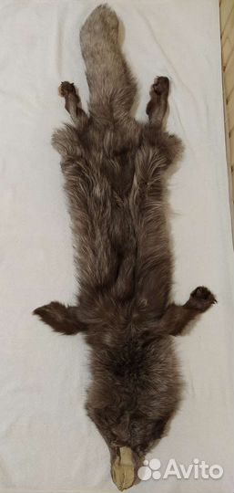 Шкура песца