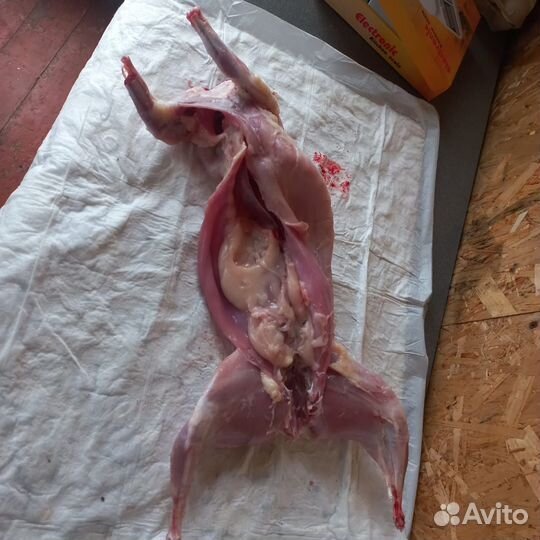 Мясо кролика