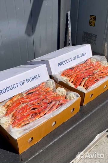 Краб Камчатский