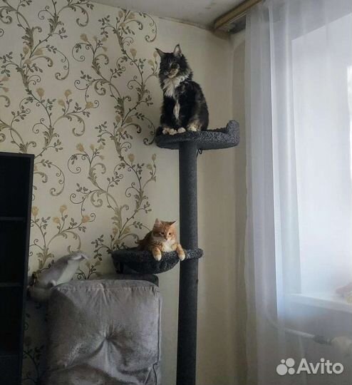 Когтеточка для кошки настенная столб