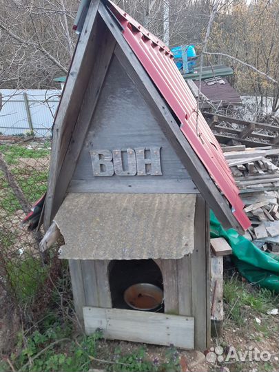 Собачья будка