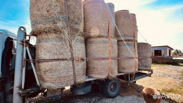 Сено в рулонах с доставкой
