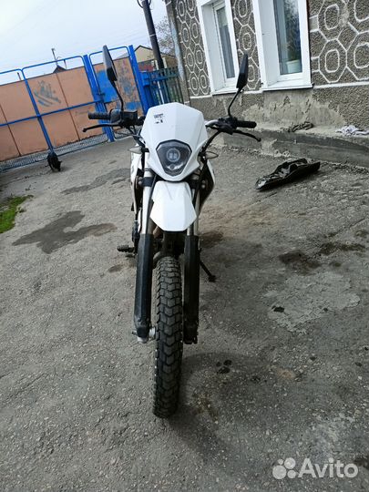 Racer panther 200